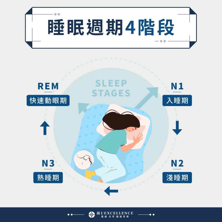 睡眠週期4階段 入睡期N1 淺睡期N2 熟睡期N3 快速動眼期REM