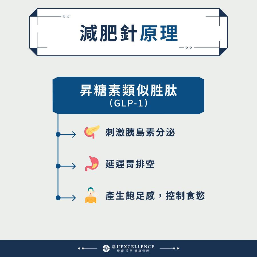 Saxenda善纖達減肥針原理