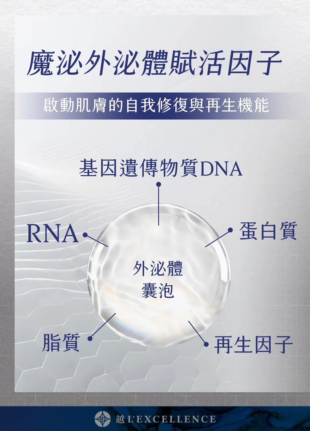 魔泌 Exosome外泌體 肌膚 私密處 越診所 Mb02