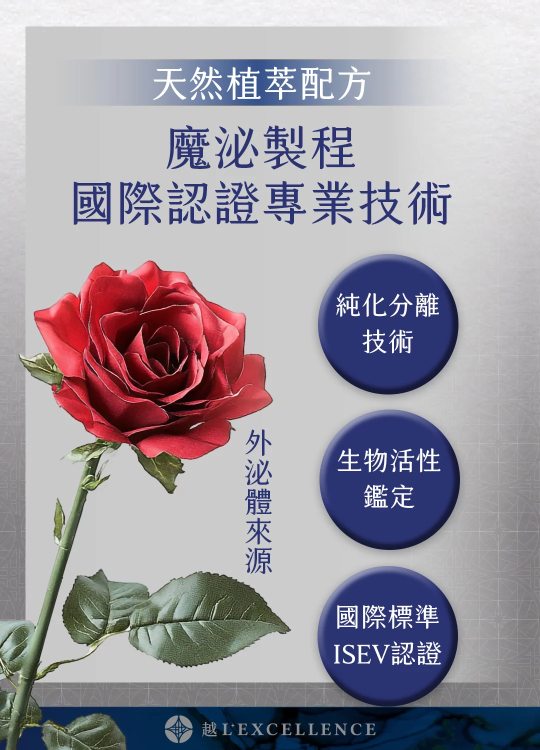 魔泌 Exosome外泌體 肌膚 私密處 越診所 Mb03