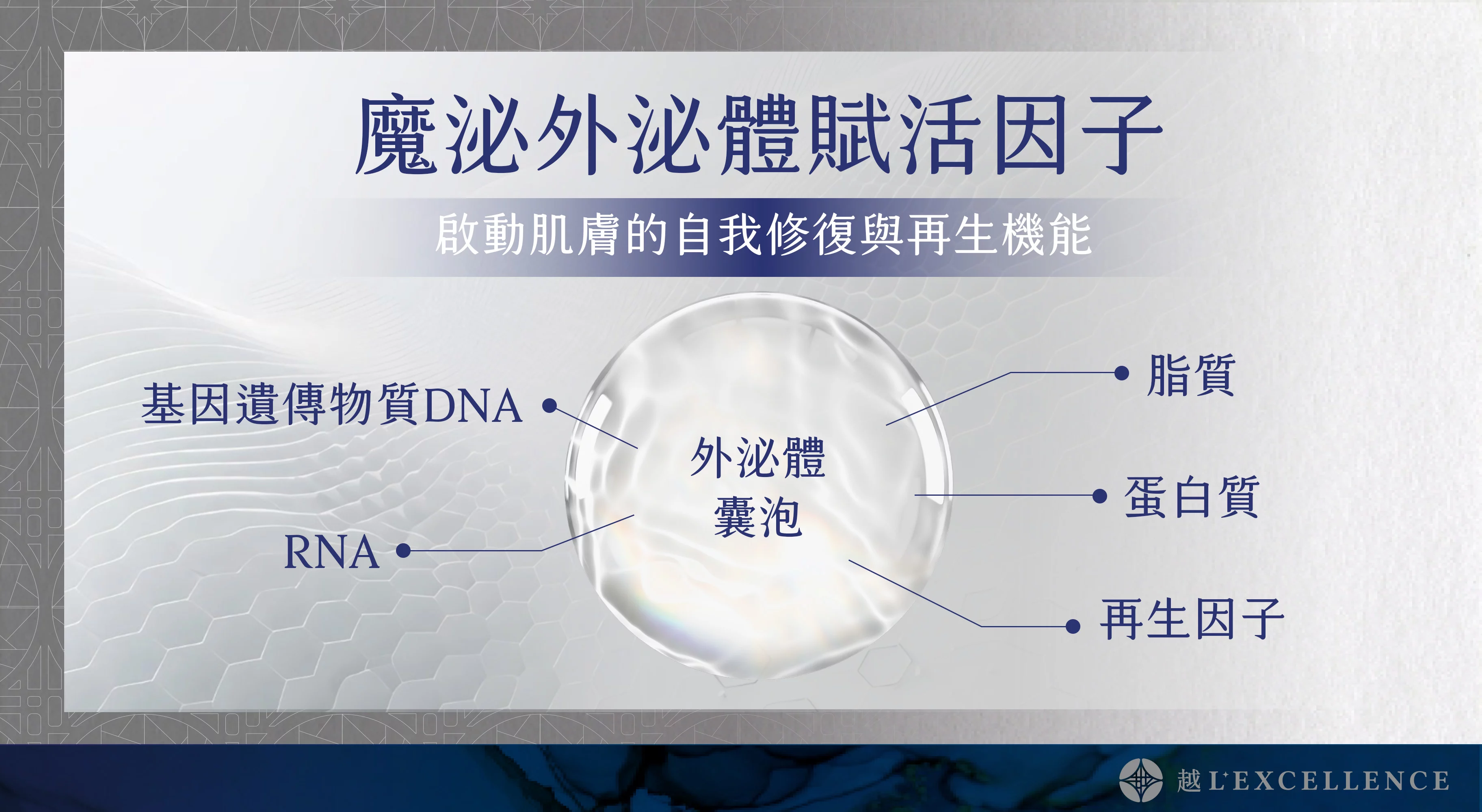 魔泌 Exosome外泌體 肌膚 私密處 越診所02