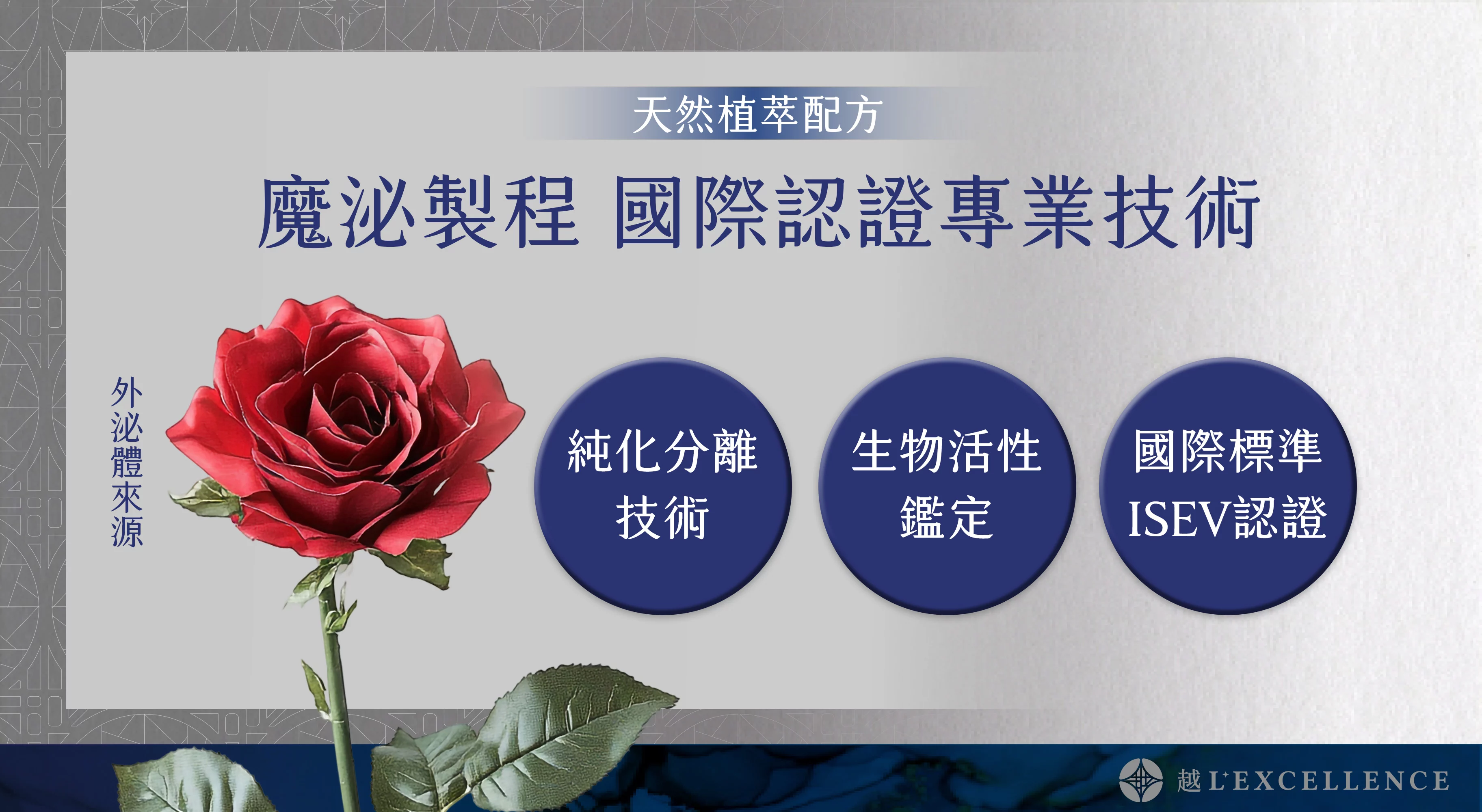 魔泌 Exosome外泌體 肌膚 私密處 越診所03