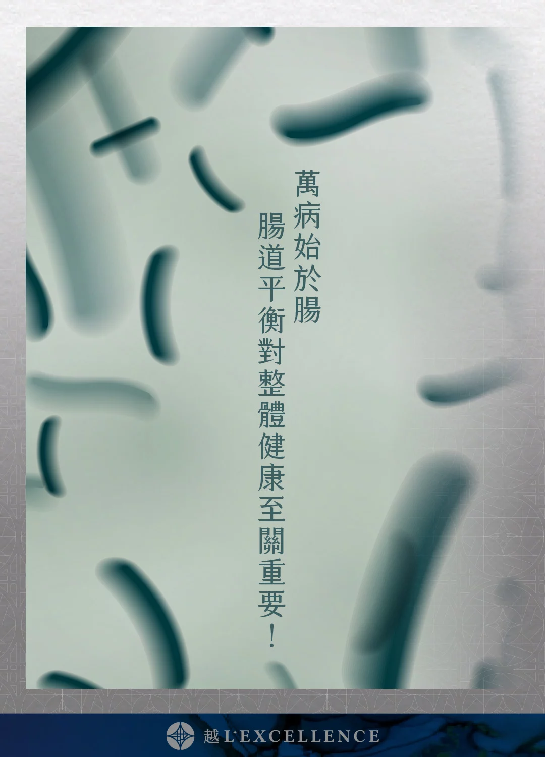 減重調控管理 減重門診 減脂 減肥法 瘦身 越診所 Mb02