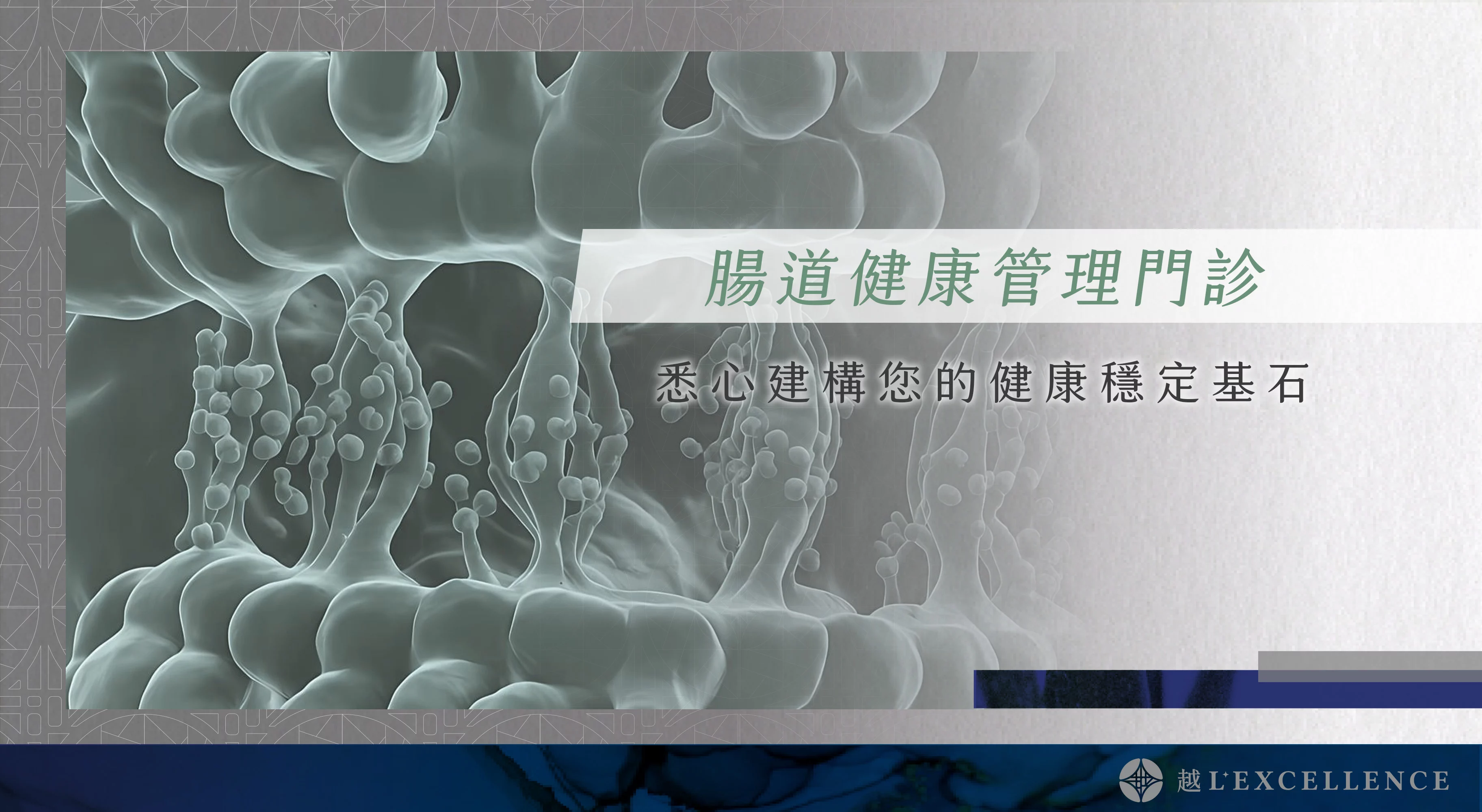 減重調控管理 減重門診 減脂 減肥法 瘦身 越診所01
